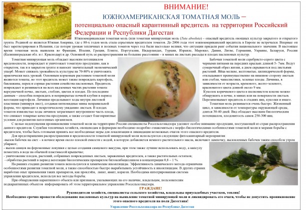 ВНИМАНИЕ! ЮЖНОАМЕРИКАНСКАЯ ТОМАТНАЯ МОЛЬ - потенциально опасный карантинный вредитель