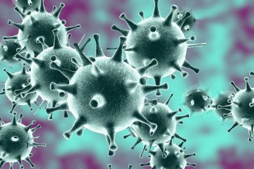 Вирус COVID-19: реальная картина и фейковые вбросы