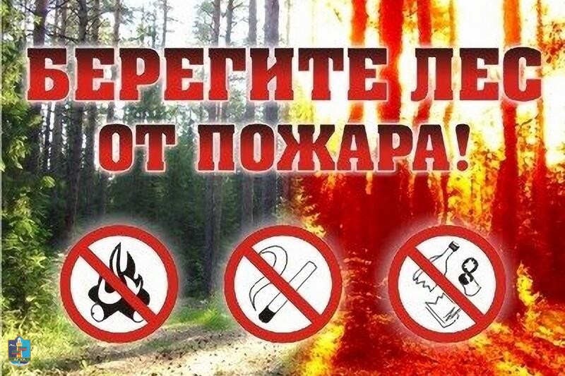 Ответственность на нарушение законодательства о пожарной безопасности в лесах